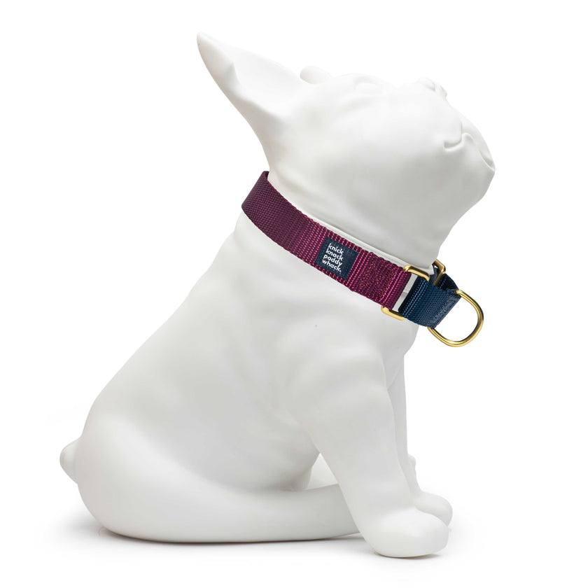 Minnesota Vikings Dog Collar Minnesota Vikings Martingale 