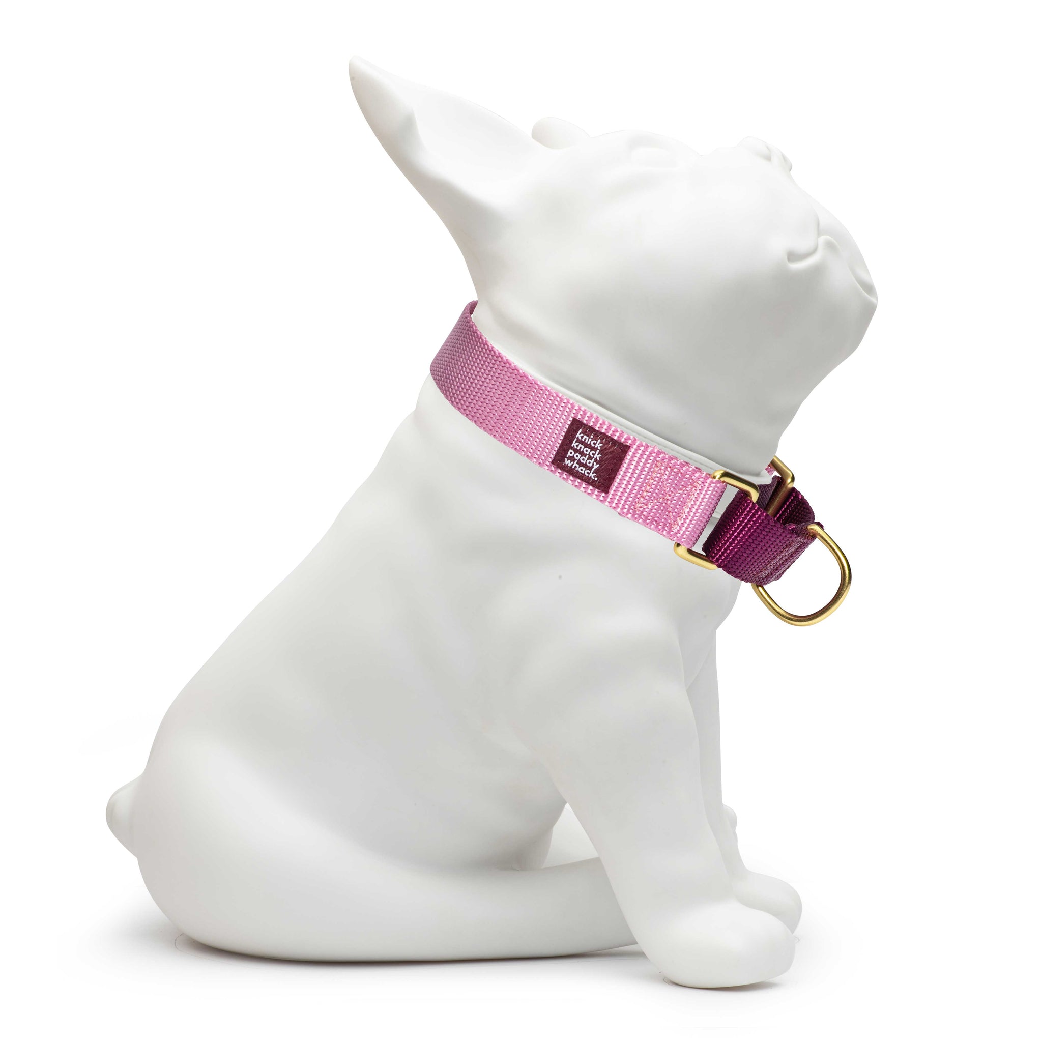 Purple kong collar best sale